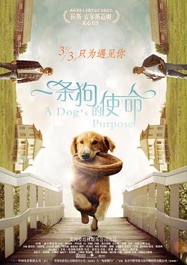 重口系列yapooⅴk