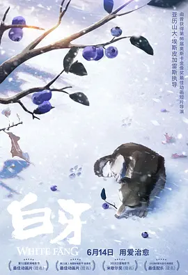 久久精品国产三级不卡