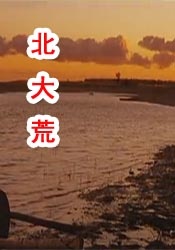 怡红院视频
