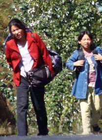 精品国产香蕉伊思人在线又爽又黄