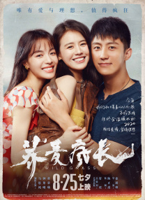 如何下载在线视频