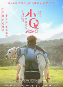 噜噜网站在线观看