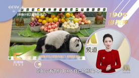 美女福利视频一区